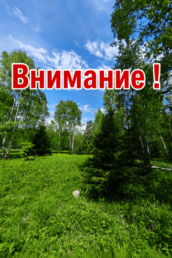 Фотография новости